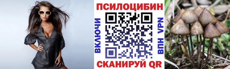 Псилоцибиновые грибы мицелий  кракен онион  Волхов 